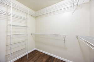 Walk in closet with dark wood-type flooring