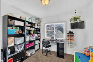 Office with dark carpet