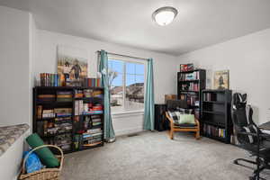 Office area featuring light colored carpet