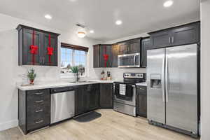 Kitchen with stainless steel appliances, light wood-style floors, and recessed lighting