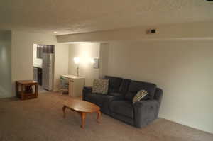Carpeted living room featuring a textured ceiling