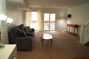 Living room with carpet and a textured ceiling