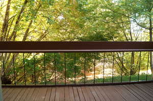 Back deck