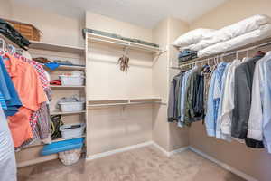 Spacious closet with light colored carpet
