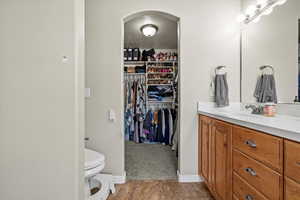 Bathroom with vanity, a spacious closet, and dark colored carpet