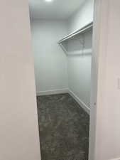 Spacious closet featuring dark carpet