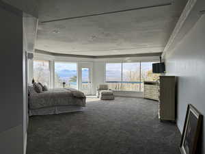 Bedroom with dark carpet