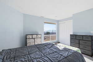 Bedroom featuring a closet, carpet flooring, and a mountain view