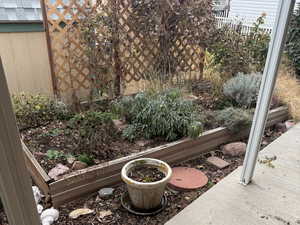 A view of the grow box, situated just off the back entrance.
