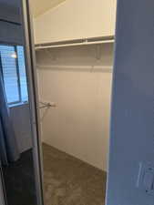 Step in closet in primary bedroom