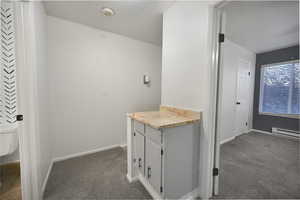 Laundry room featuring dark colored carpet, a textured ceiling, and a baseboard radiator