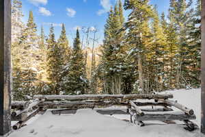 Snowy yard with a forest view