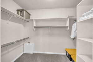 Walk in closet featuring light colored carpet