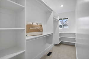 Spacious closet with light carpet