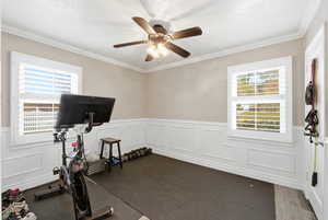 Workout area featuring wainscoting, a decorative wall, ornamental molding, and ceiling fan