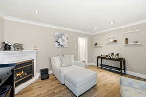 Living room with a glass covered fireplace, light wood-type flooring, crown molding, and recessed lighting