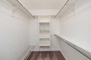 Spacious closet featuring dark colored carpet