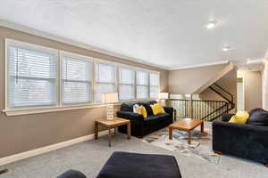Living room with a textured ceiling, ornamental molding, and carpet floors