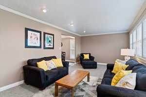 Carpeted living area with a textured ceiling and crown molding