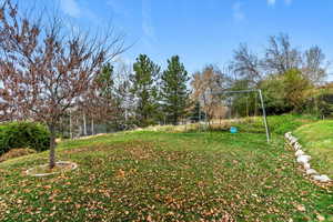 View of grassy yard