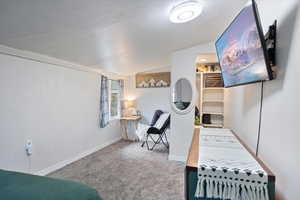Living area featuring lofted ceiling and carpet