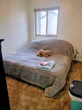 Bedroom featuring carpet floors