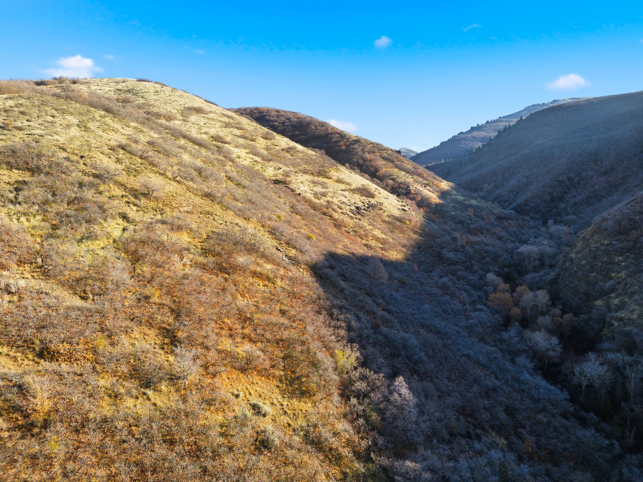 View of mountain backdrop