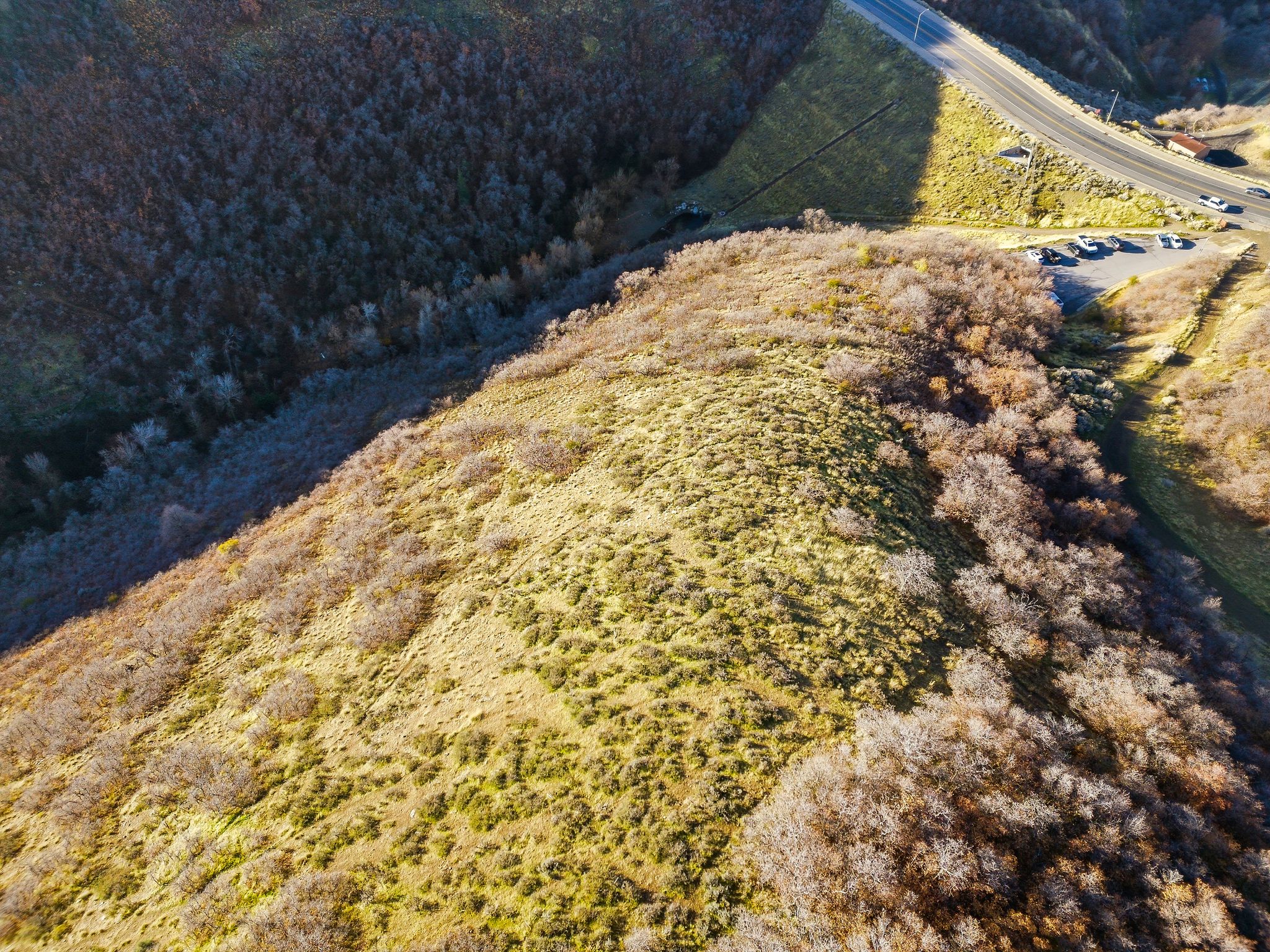 Aerial view of property's location