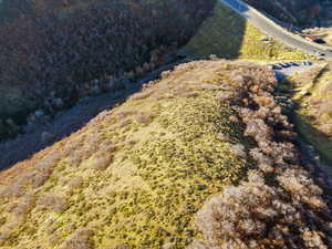Aerial view of property's location
