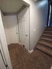 Stairway with carpet floors and baseboards
