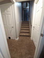 Stairway featuring carpet
