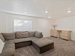 Carpeted living area with a textured ceiling and recessed lighting