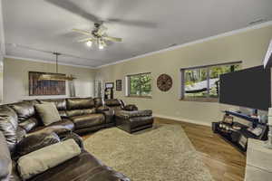 Living room with crown molding, light wood-style flooring, and ceiling fan