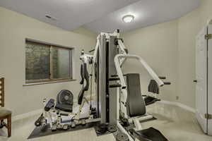 Workout room featuring carpet and a textured ceiling