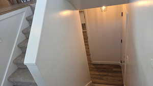 Entry with stairs down to the garden level