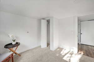 Bedroom #4 down with a closet and access to hallway