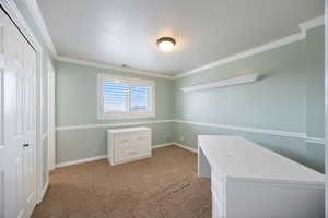 Unfurnished bedroom featuring carpet flooring, crown molding, and a closet