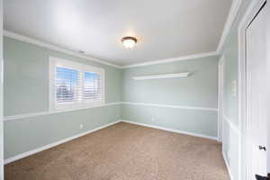 Spare room featuring crown molding and light carpet
