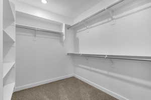 Walk in closet with carpet