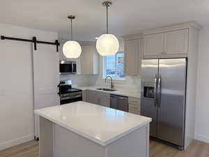 Kitchen with appliances with stainless steel finishes, a barn door, light wood-type flooring, a center island, and pendant lighting