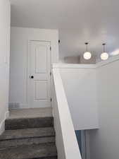 Stairs featuring carpet