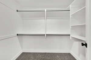 Walk in closet featuring carpet flooring