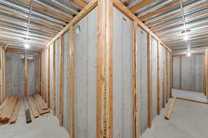 View of unfinished basement