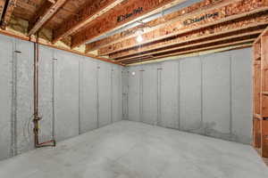 unfinished storage room