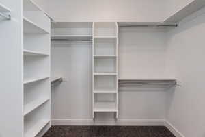 Walk in closet featuring carpet floors