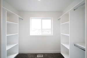 Spacious closet featuring dark colored carpet