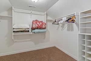 Spacious closet featuring carpet and vaulted ceiling