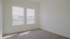 Unfurnished room featuring baseboards and carpet