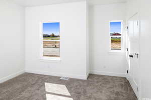 Empty room featuring carpet flooring and plenty of natural light