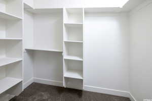 Walk in closet with dark colored carpet